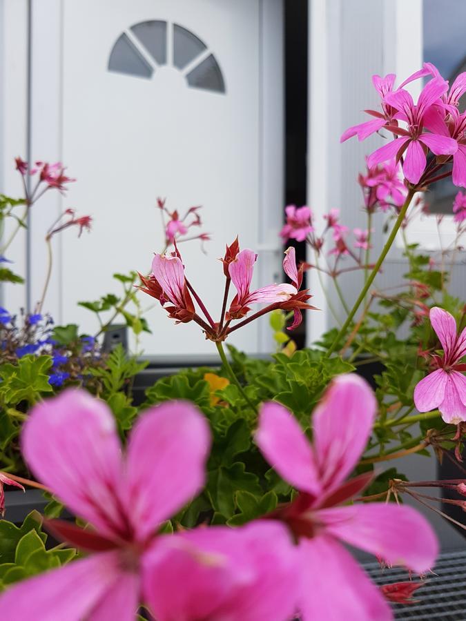 Szilas Park Motel Nagytarcsa Dış mekan fotoğraf